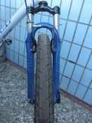 im_156359.jpg