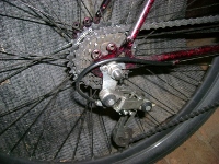 DSC05067 (200x150).jpg