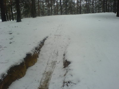 Copy of DSC01484.JPG