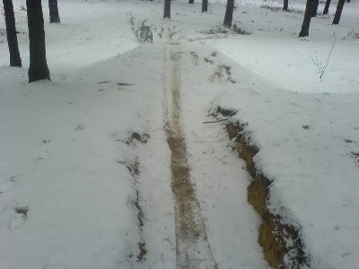 Copy of DSC01485.JPG