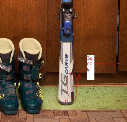 лыж.jpg