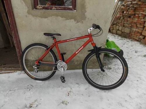 Resize of Resize of DSCN3664.JPG