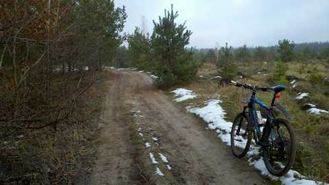 1517554_1410656925839522_783738536_n (1).jpg