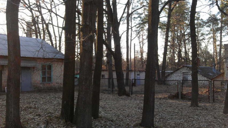 Хоздвор_новый размер.jpg