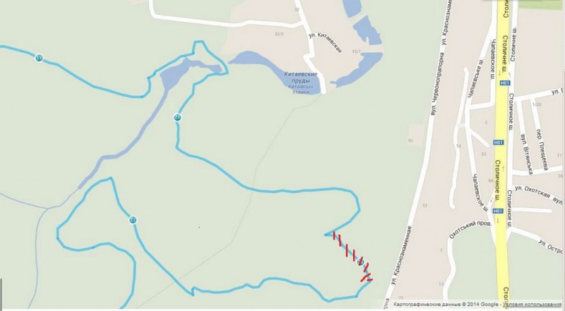 бревна в голосеево.JPG