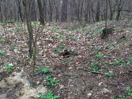 5. копалка спрятана возле бутылки.jpg