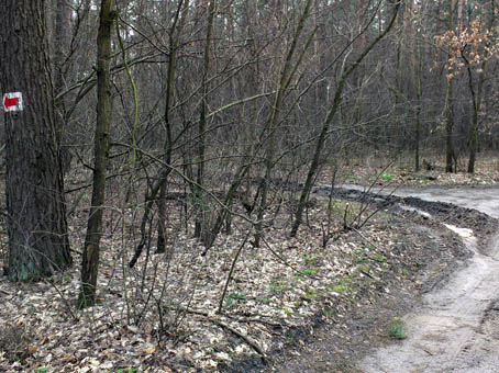 1. начало проблемного участка (80 м).jpg