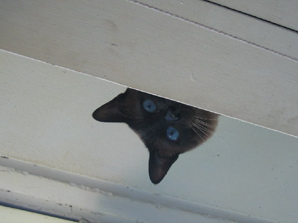 Изображение 677.jpg