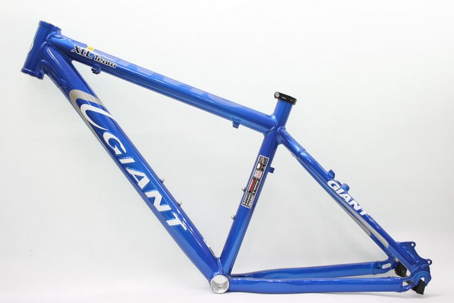 GIANT XTC Team EMBO.jpg