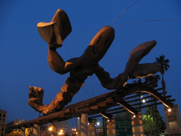 Resize of IMG_3550.jpg