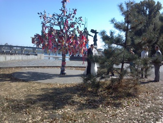 Свадебное дерево-13.jpg