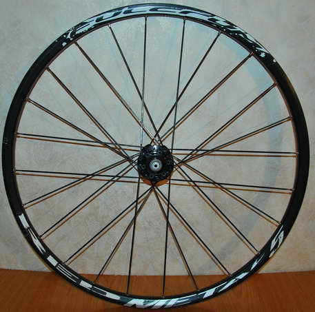 DSC_7834_новый размер.JPG