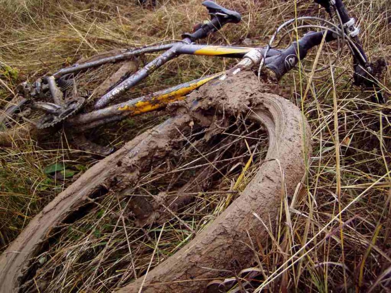 04.1 - Меріда.JPG