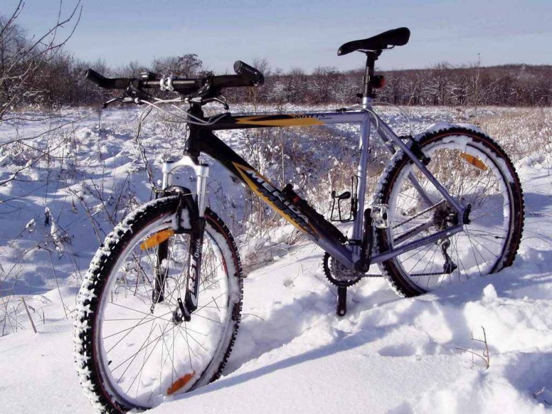 04.2 - Меріда.jpg