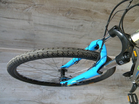 P1013049_новый размер.JPG