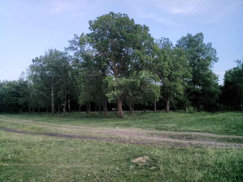 20150523_194557_.jpg (75.53Кіб)Переглянуто 1416 разів 20150523_194557_.jpg