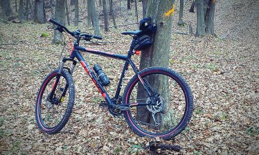 IMAG0287_374x224 (1).jpg