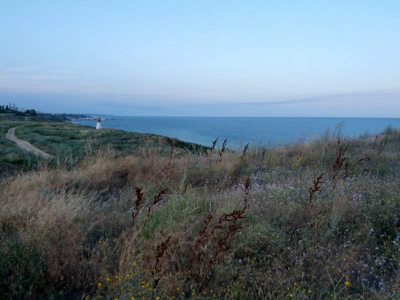 2015-07-20 19.58.11_tropa_sm.jpg