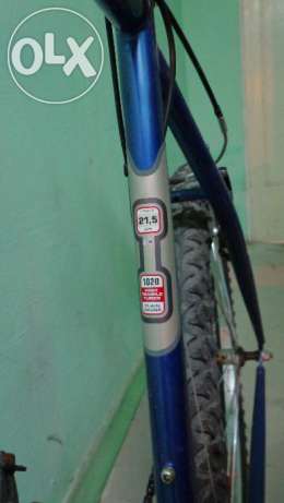 247863382_3_644x461_author-outset-215-velo_rev001.jpg