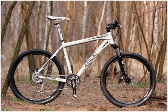 Scott kопировать.jpg