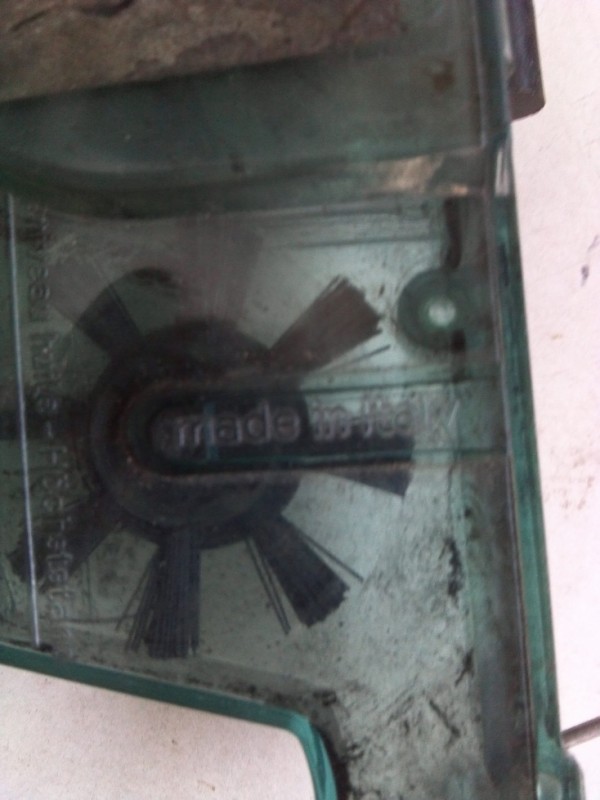 Цепемойка 2.jpg