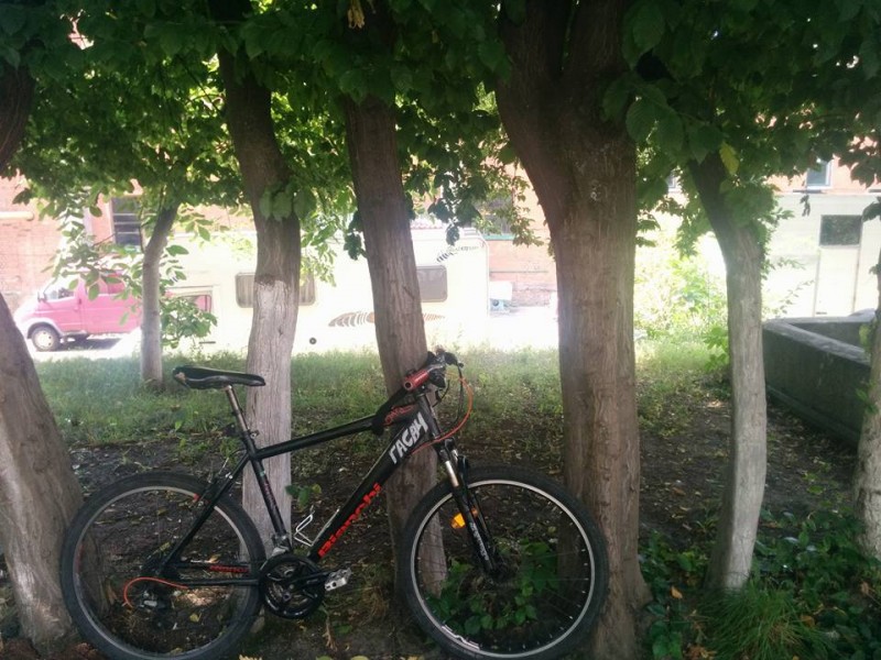 В деревах.jpg