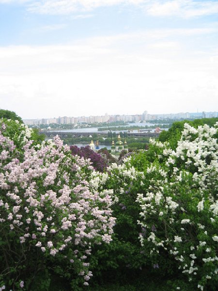 любимый город.jpg