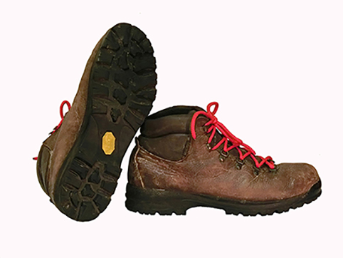 Трек 45.5 вело.jpg