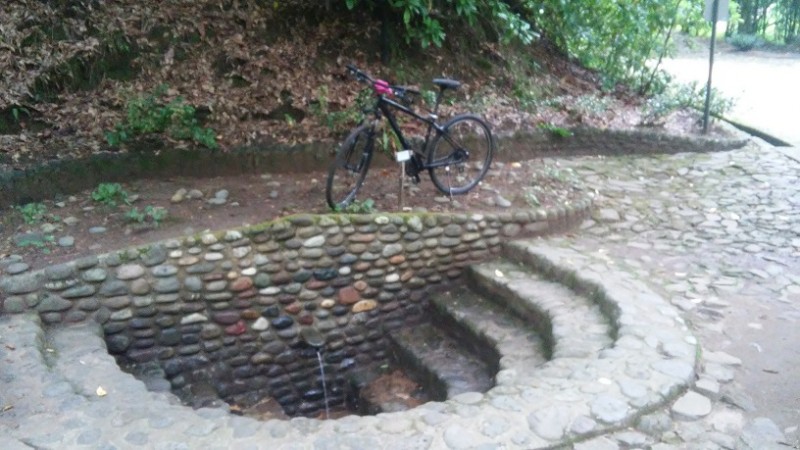 ботсад купальня.jpg