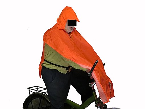 Блошка.JPG