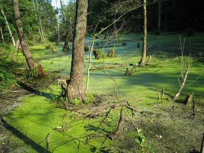 колдовское озеро.JPG