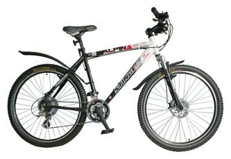 Велосипед Stinger Х26956 Alpina R200