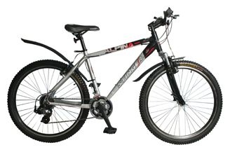 Велосипед Stinger Х26953 Alpina R150