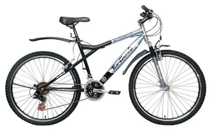 Велосипед Top Gear Freedom 310 (В26056)