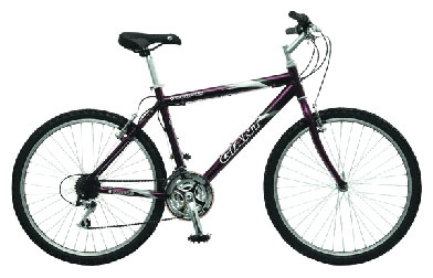 Велосипед Giant Campus (2006)