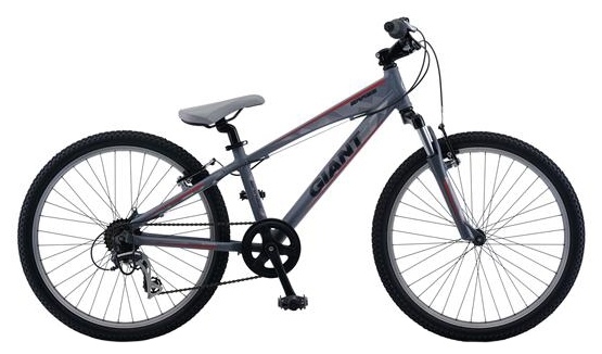 Велосипед Giant Brass Jr 24 (2012)