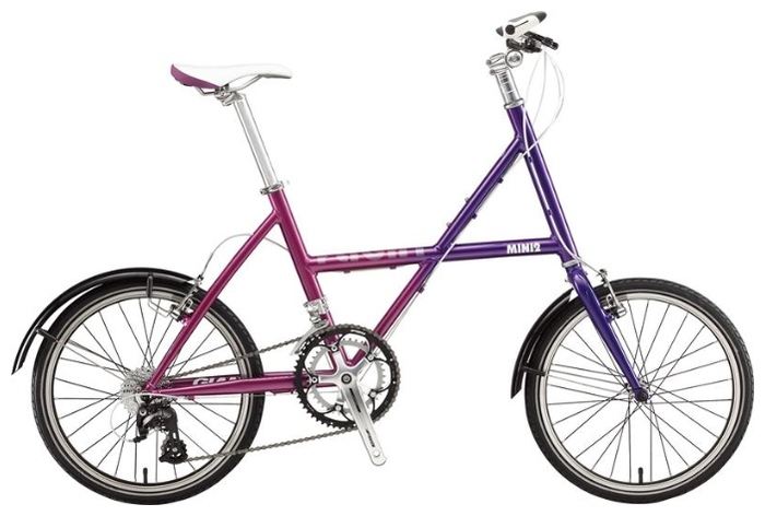 Велосипед Giant Flight Mini 2 W (2010)