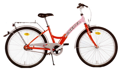 Велосипед PANTHER FRESH 24 (M506)