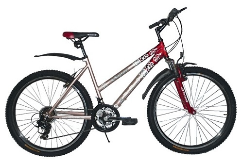 Велосипед Top Gear Enigma 211 (ВМЗ26256)