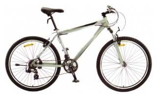 Велосипед Racer 10-226