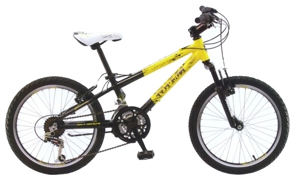 Велосипед Corvus GW-10B225 (2012)