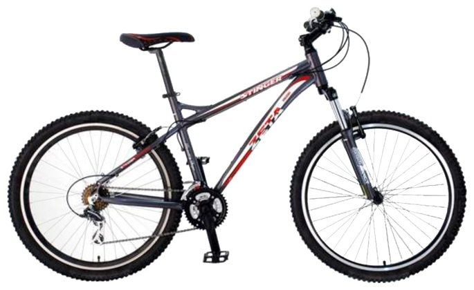 Велосипед Stinger Х43973 Zeta