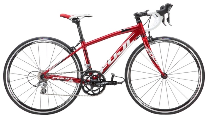 Велосипед Fuji Bikes Ace 650 Pro (2013)