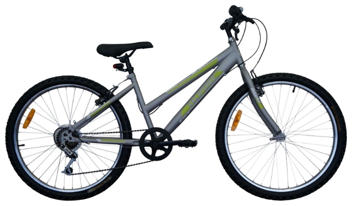 Велосипед Alpine Basic 20 (2013)