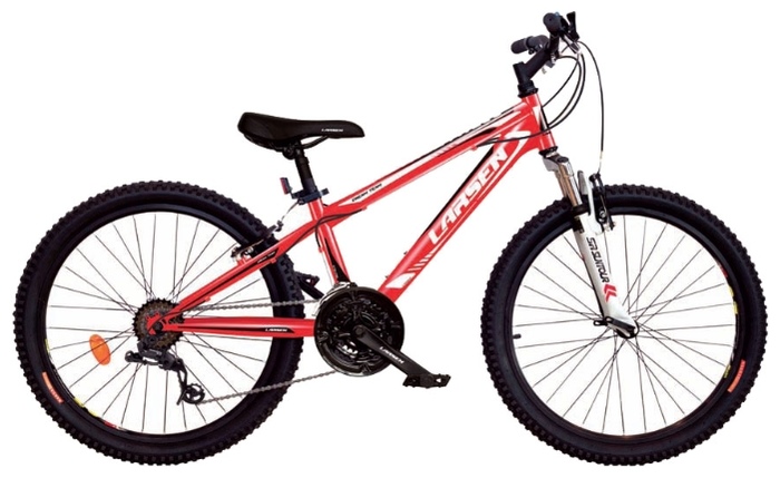 Велосипед Larsen Dream Team (2013)