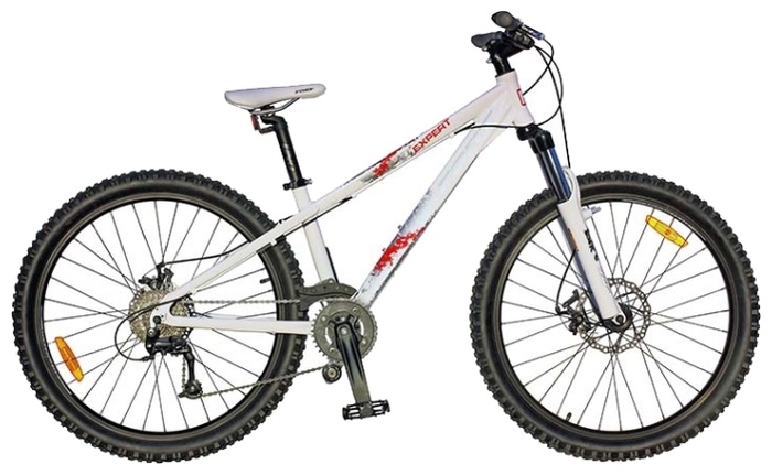 Велосипед FORT Expert (2013)