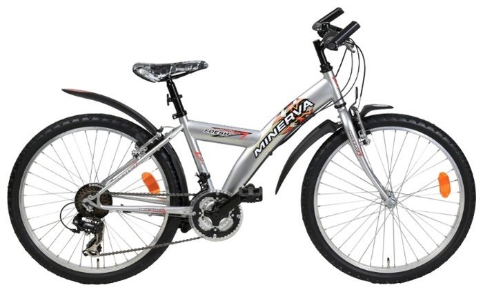 Велосипед Minerva Fresh M305 (2013)