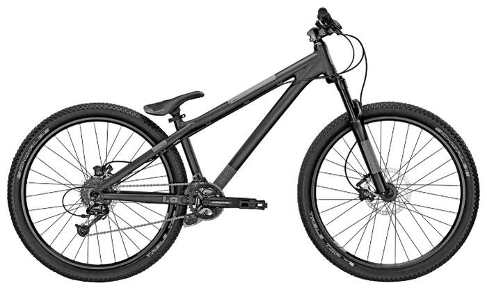 Велосипед Focus Dog Fish 1.0 (2014)