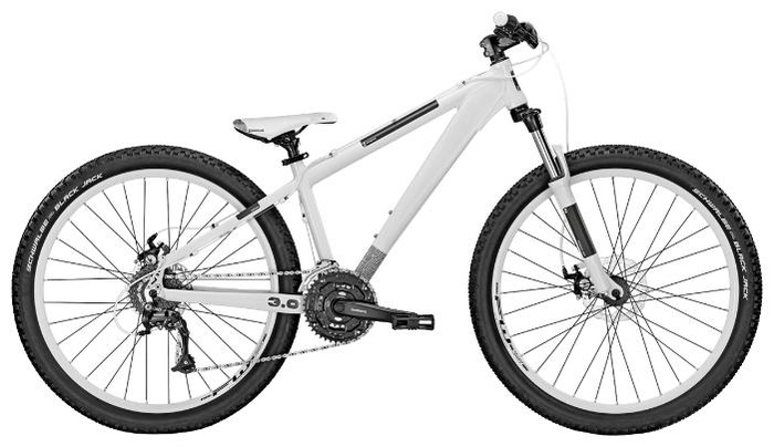 Велосипед Focus Dog Fish 3.0 (2014)