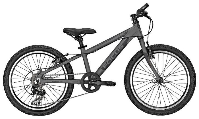 Велосипед Focus Raven Rookie 1.0 20 (2014)